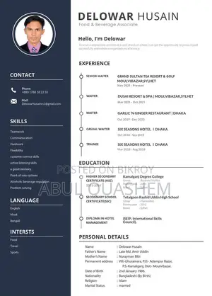 Europass, Professional and Customize CV