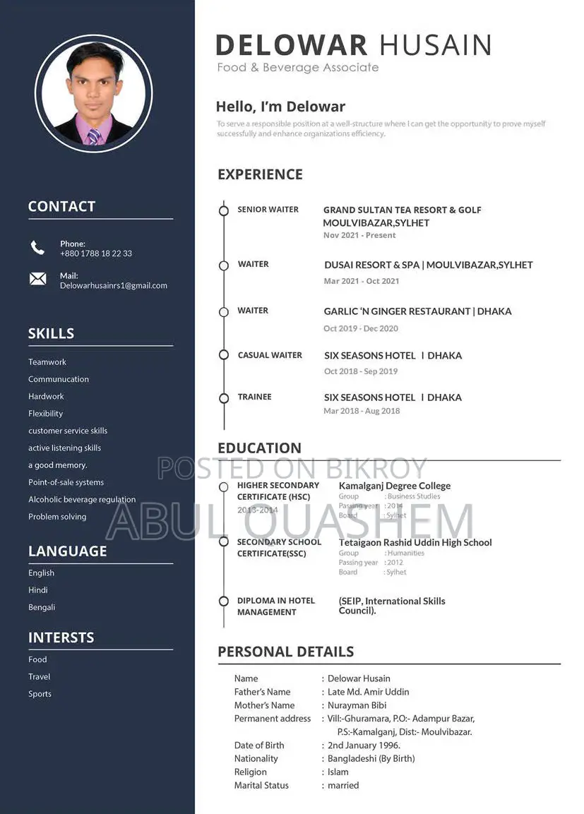 Europass, Professional and Customize CV