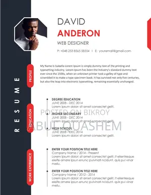 Europass, Professional and Customize CV