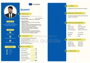 Europass, Professional and Customize CV