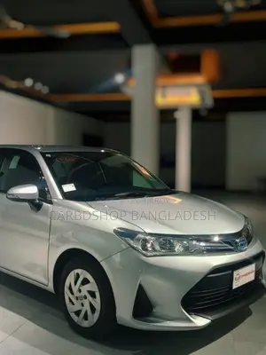 Toyota Axio 2021 Silver