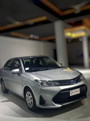 Toyota Axio 2021 Silver