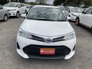 Toyota Corolla Fielder 2021 Pearl