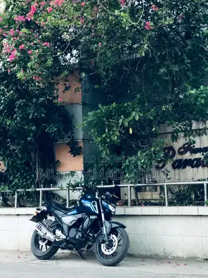 Yamaha FZS V3 2019 Blue