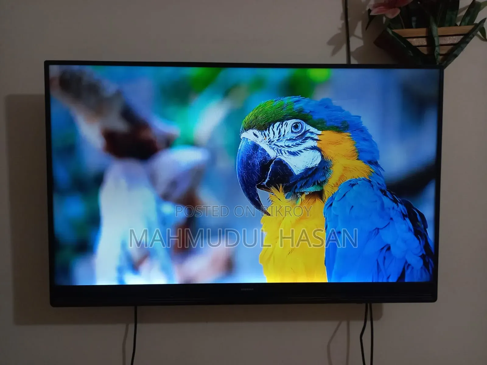 (TV) Samsung Series 43