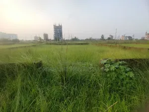 N-Block, Near Community Park 3 Katha Plot Sale in Bashundhara RA
