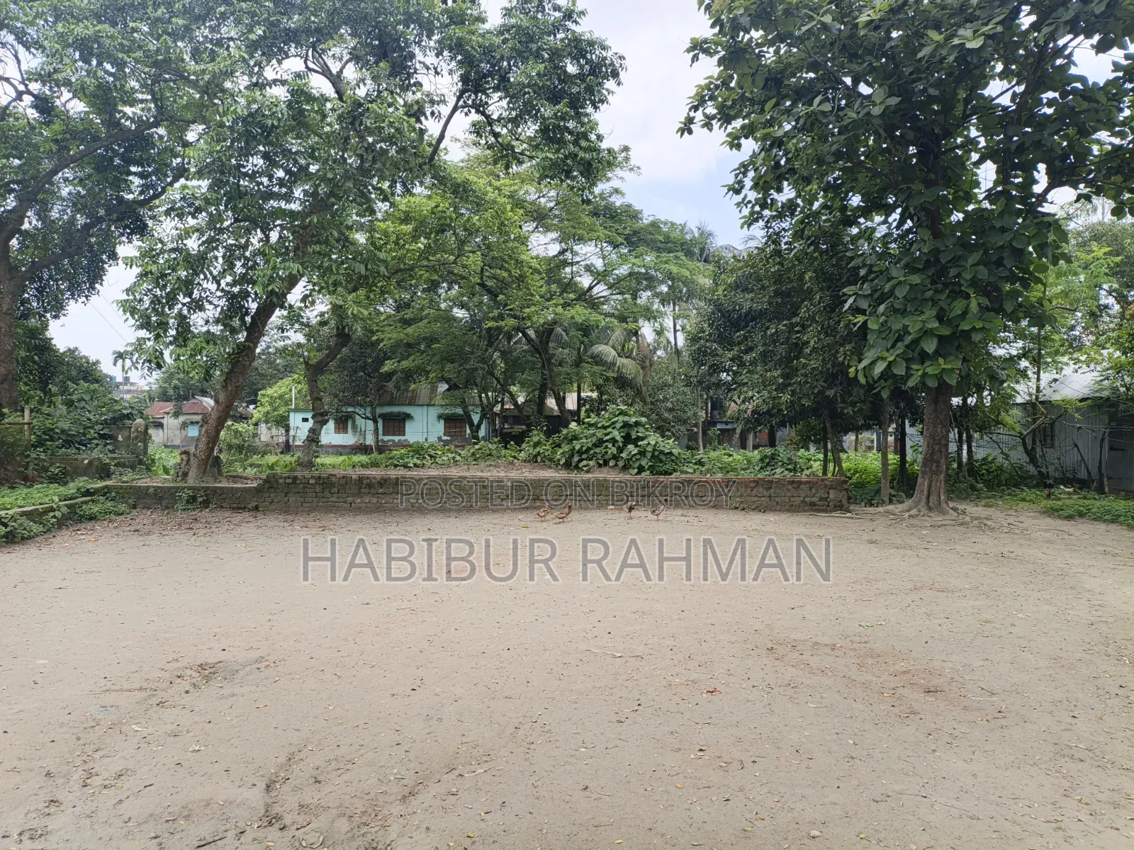 Land for sale in Gafargaon Municipality. Land area 4.25 decimals