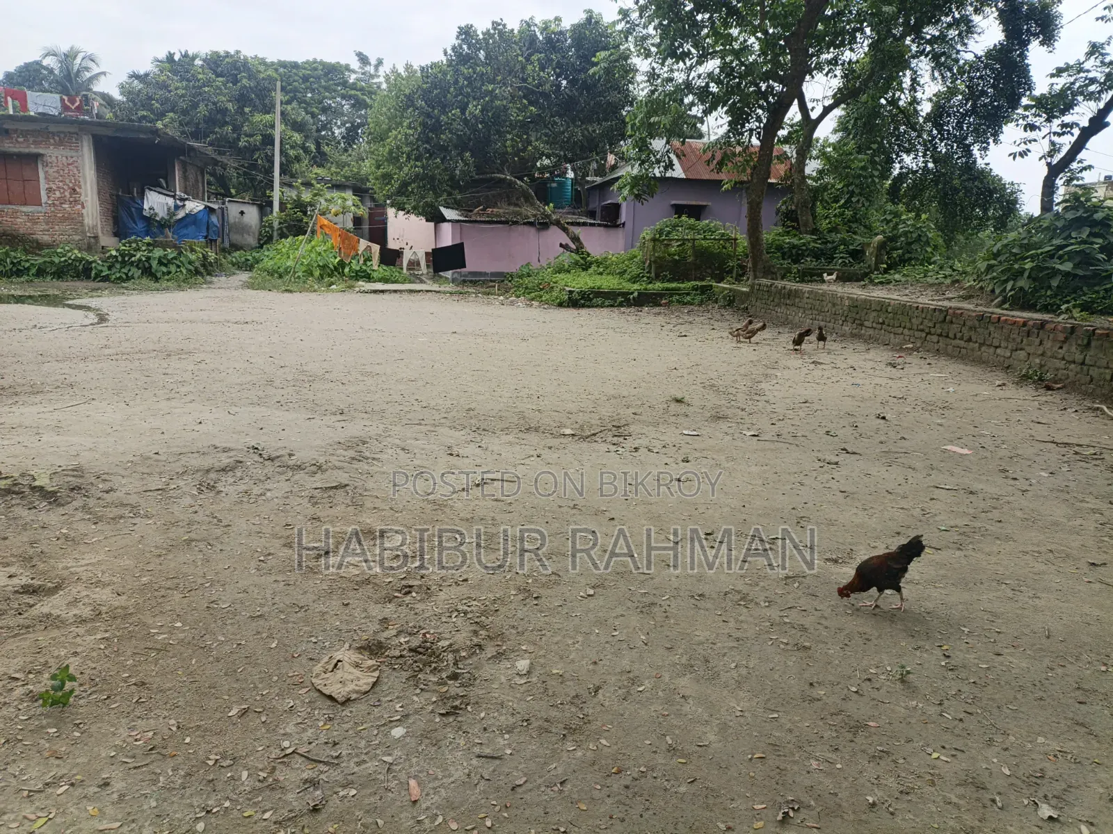 Land for sale in Gafargaon Municipality. Land area 4.25 decimals