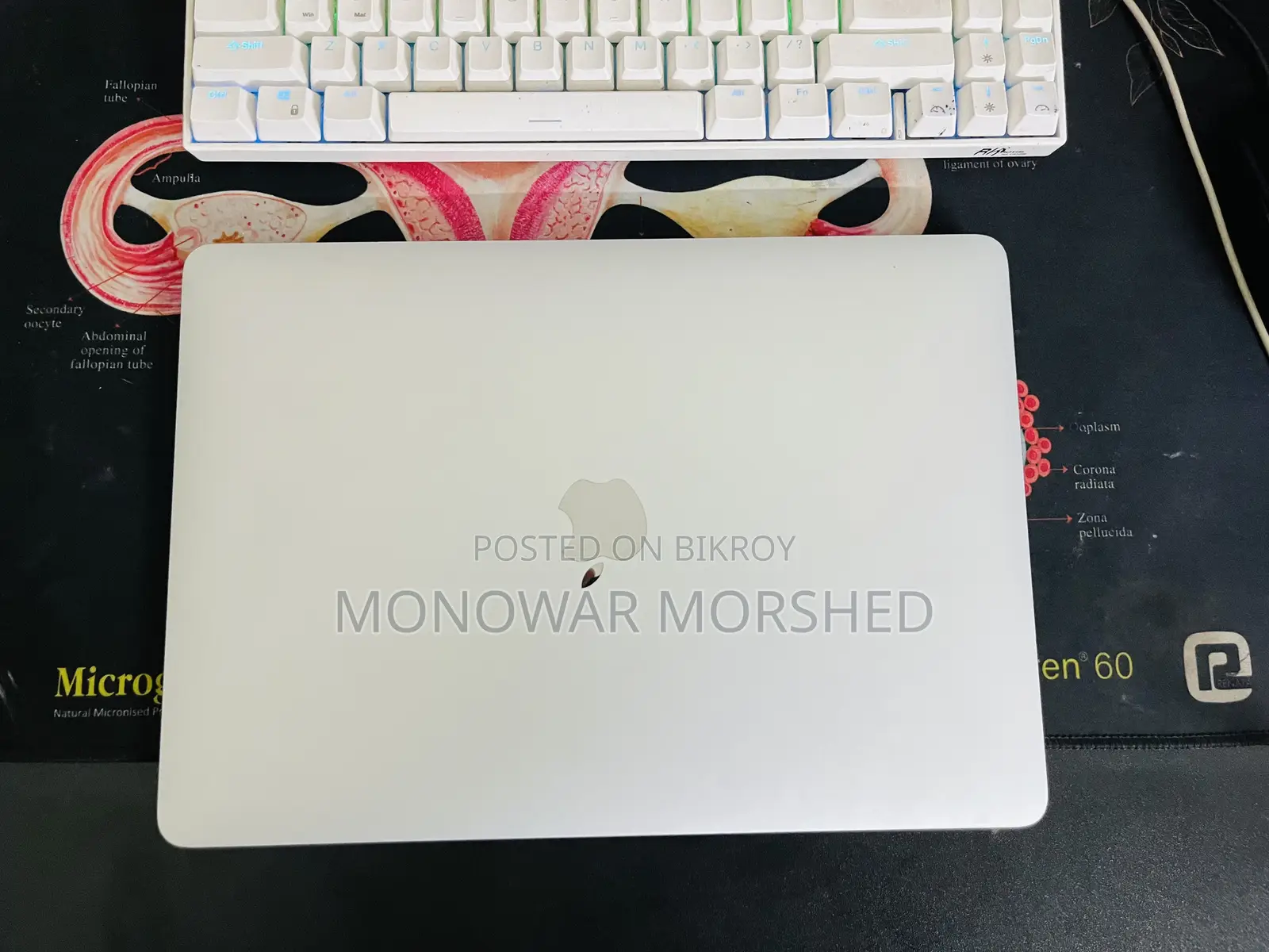 Laptop Apple MacBook Air 2020 M1 8GB Apple M1 SSD 256GB