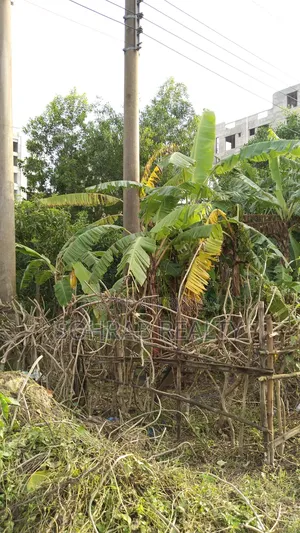 ৩ কাঠা (উত্তরমুখী, ৬০ ফিট) সেক্টর #১৭/কে, উত্তরা