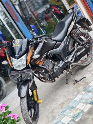হিরো হাঙ্ক ২০১৭ ব্রাউন