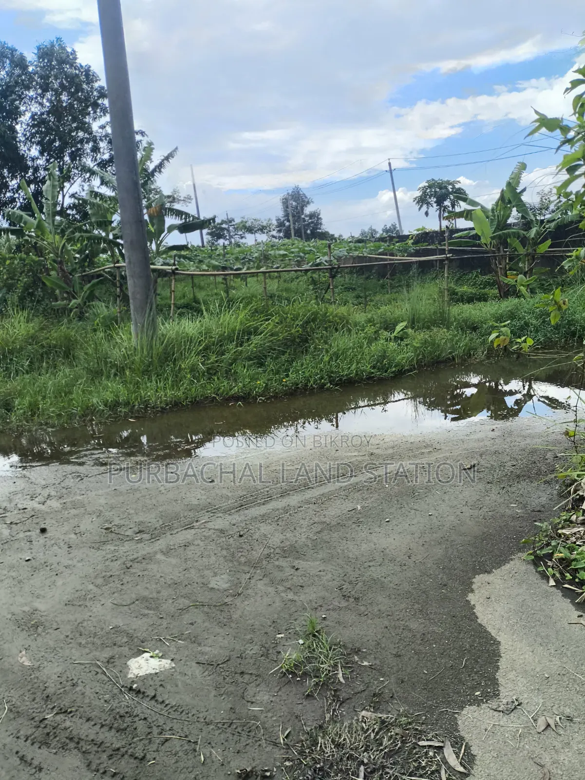 ৫৪ ফিট রোড দক্ষিণ-পূর্ব কর্নার ৩ কাঠা প্লট বিক্রয় সেক্টর:২০, পূর্বাচল