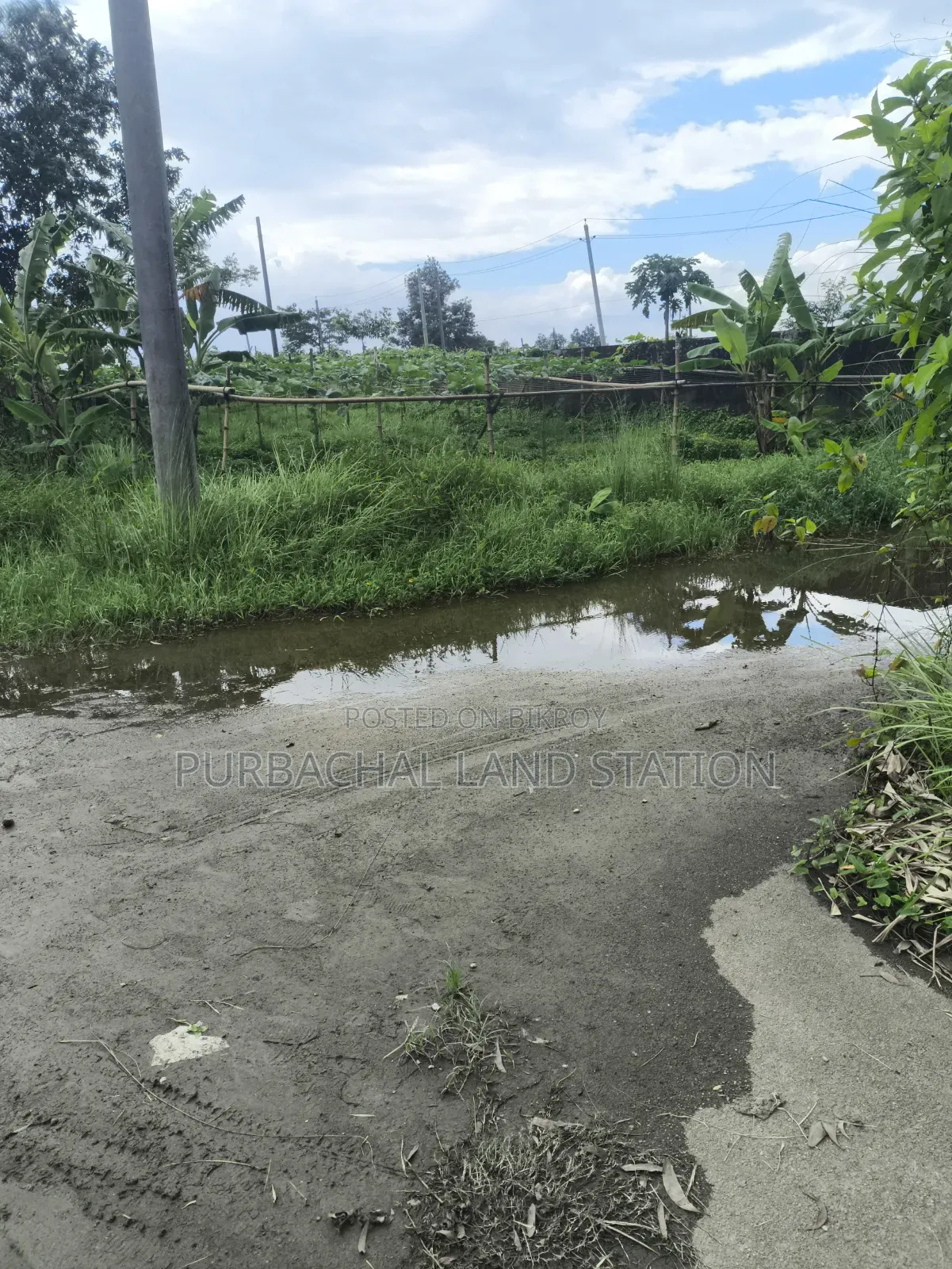 ৫৪ ফিট রোড দক্ষিণ-পূর্ব কর্নার ৩ কাঠা প্লট বিক্রয় সেক্টর:২০, পূর্বাচল