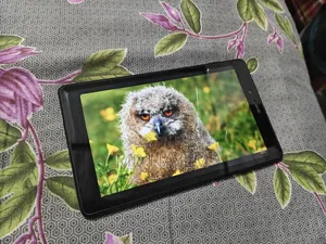 Samsung Galaxy Tab A 8.0 (2019) 32 GB Black