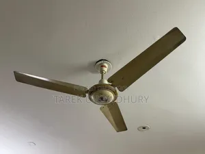 ওসাকা পাকিস্তানি ফ্যান