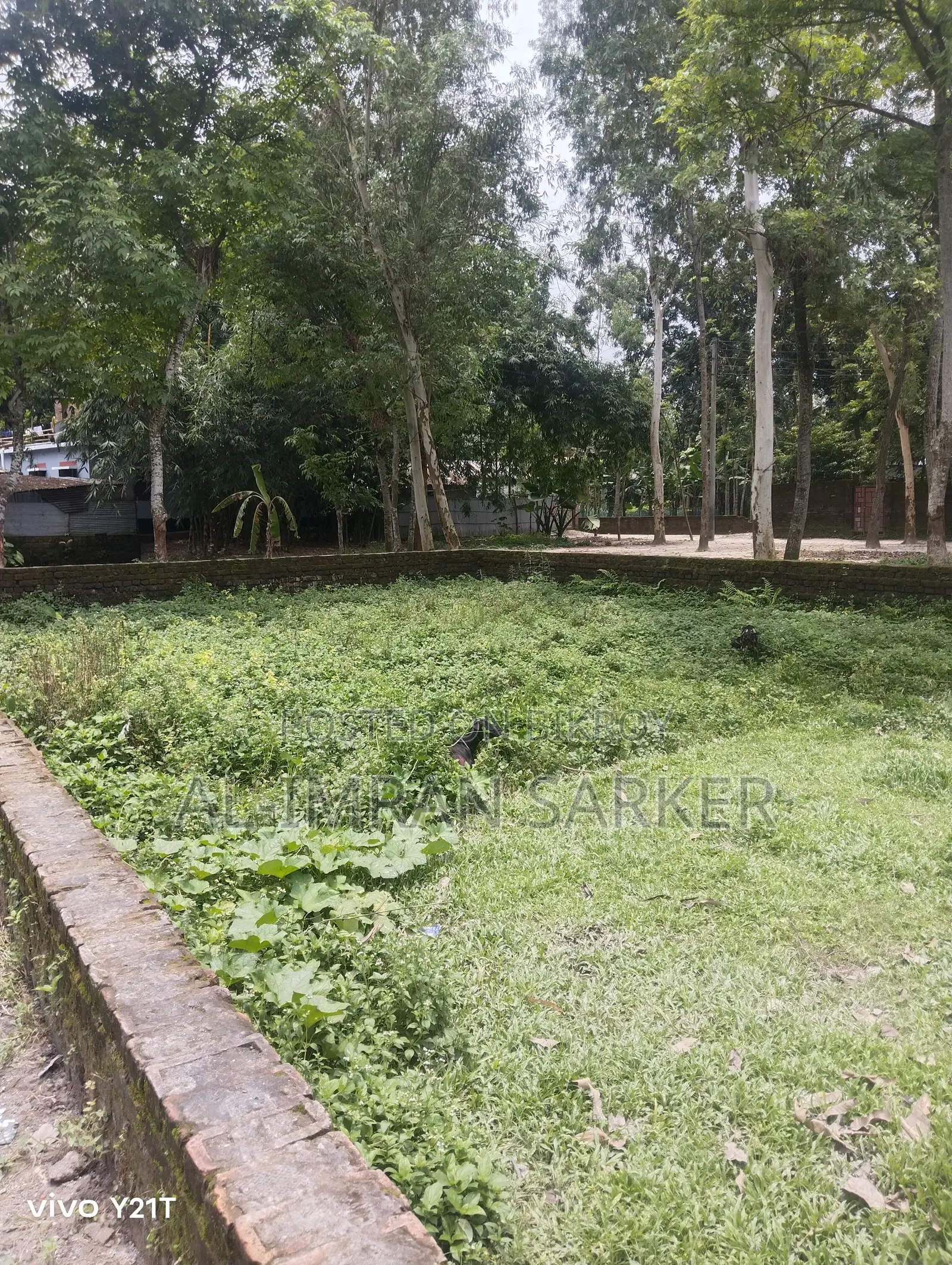 3 decimal land for sale adjacent to Rangpur Cantonment 3rd Checkpost
