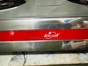 Euro Star 2 Burner Gas Stove