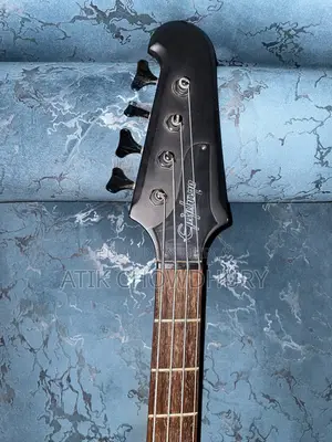 Epiphone Thunderbird Bass Guitar