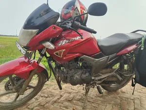 হিরো হাঙ্ক ১৫০ ২০১০ লাল