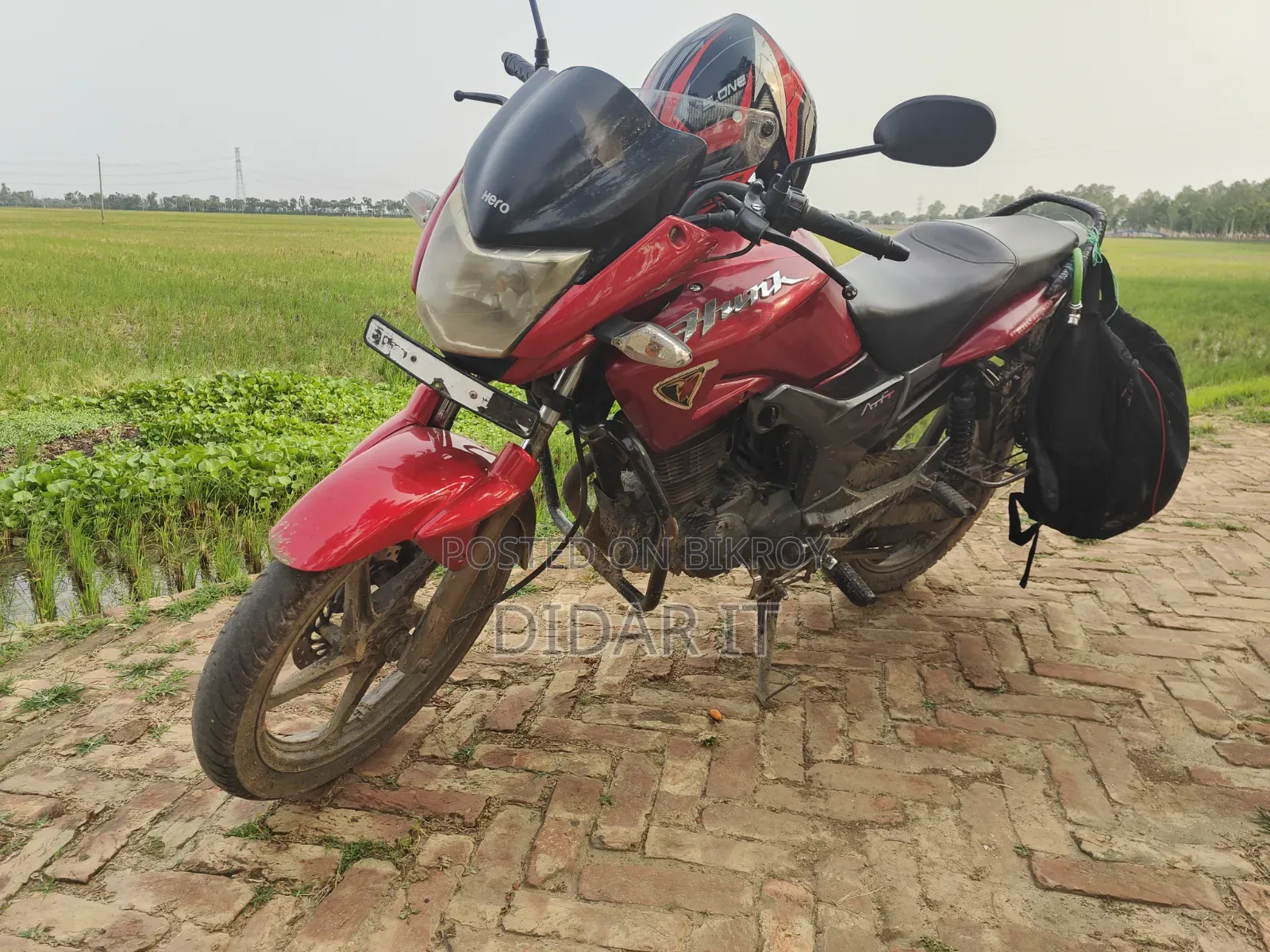 হিরো হাঙ্ক ১৫০ ২০১০ লাল