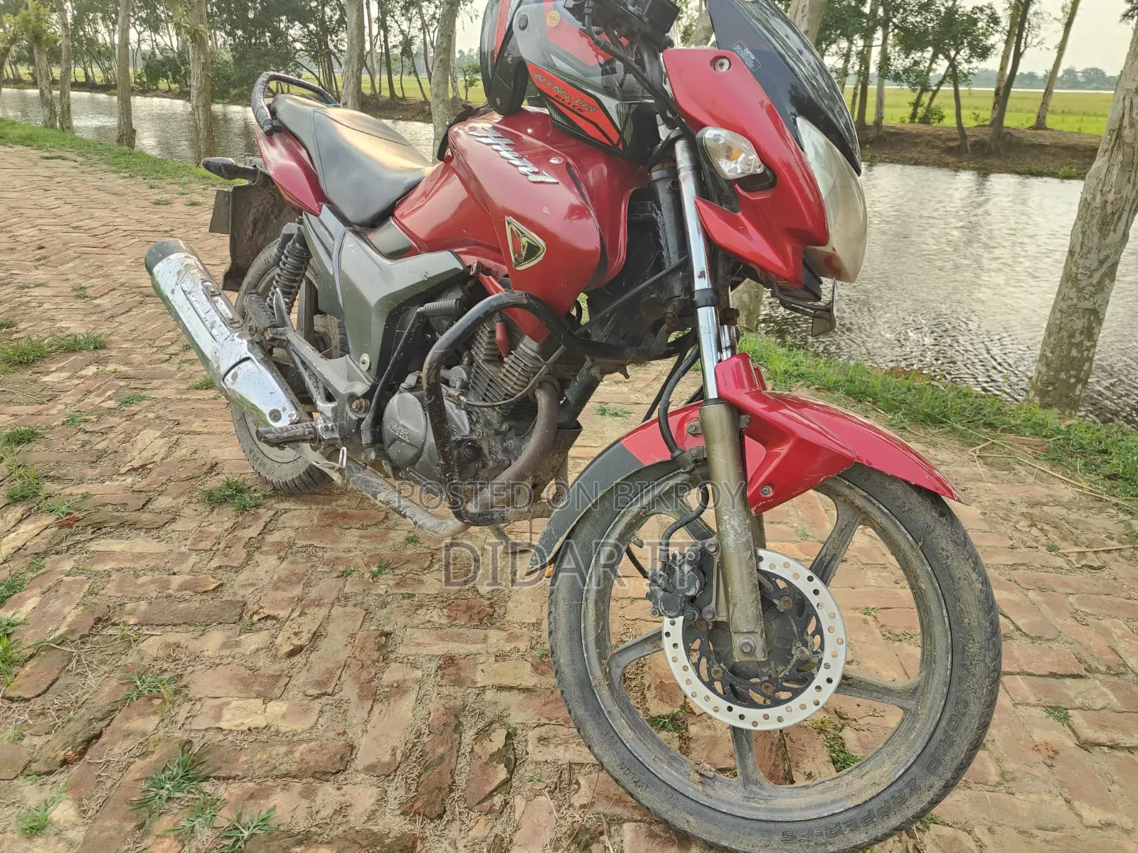 হিরো হাঙ্ক ১৫০ ২০১০ লাল