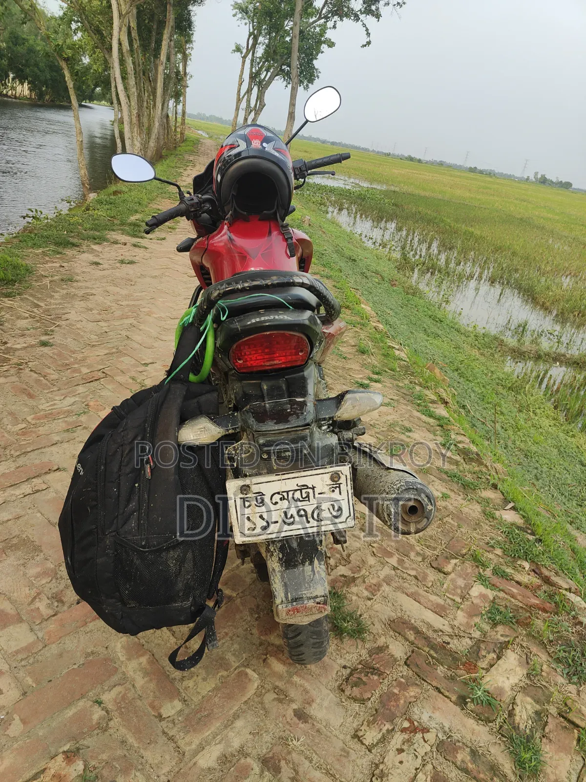 হিরো হাঙ্ক ১৫০ ২০১০ লাল