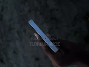 স্যামসাং গ্যালাক্সি এ১৫ ১২৮ জিবি সিলভার