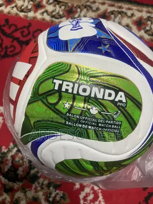 Official World Cup Football