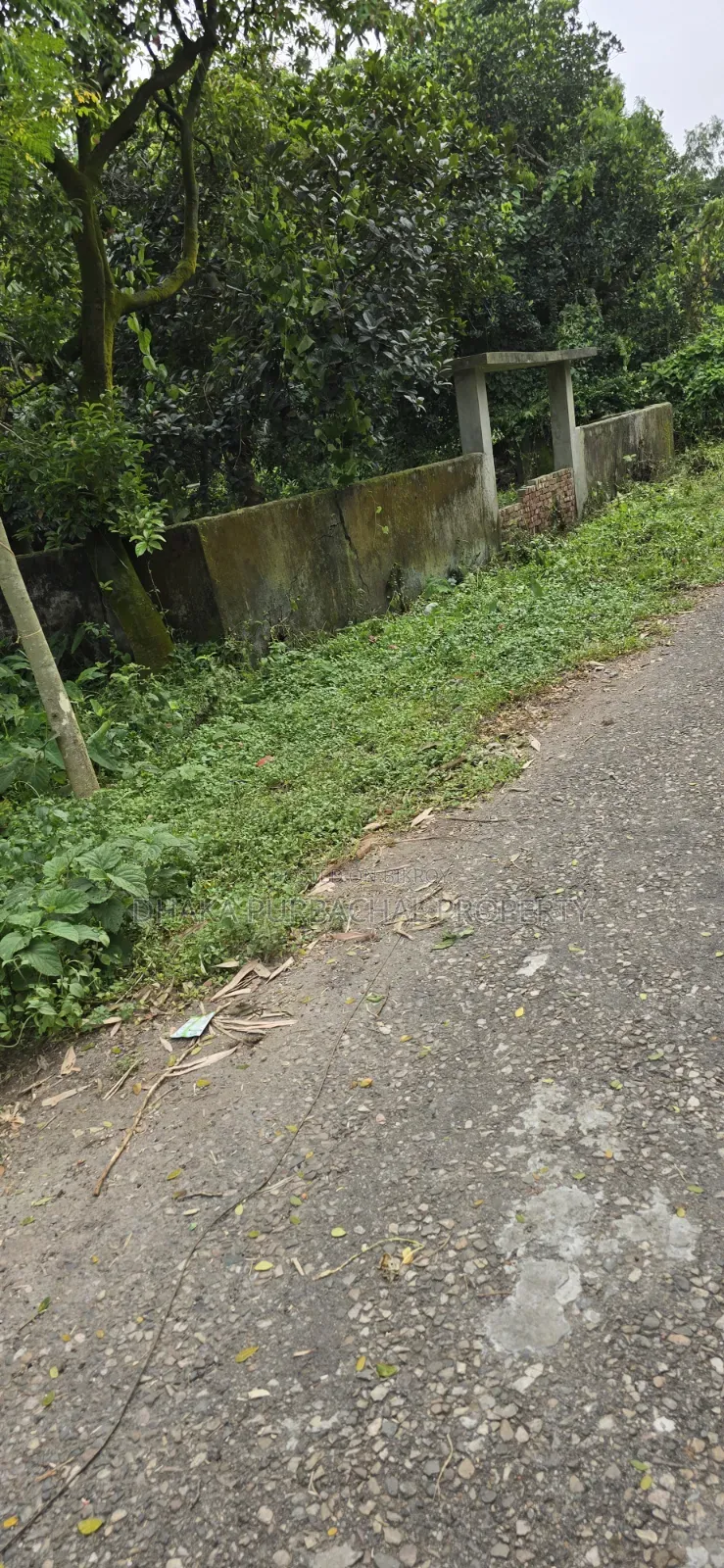 ৩ কাঠা প্রবাসী ক্যাটাগরির প্লট বিক্রয়