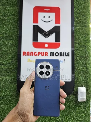 OnePlus 13 256 GB Blue