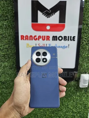 OnePlus 13 256 GB Blue