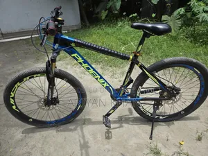 Phoenix Hurricane 2.0 Custom Stunt Cycle |Oil Brakes| Fresh Condition