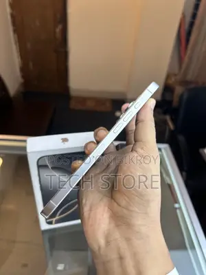 Apple iPhone 16 Pro Max 256 GB Silver