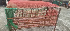 Iron Chicken Cage