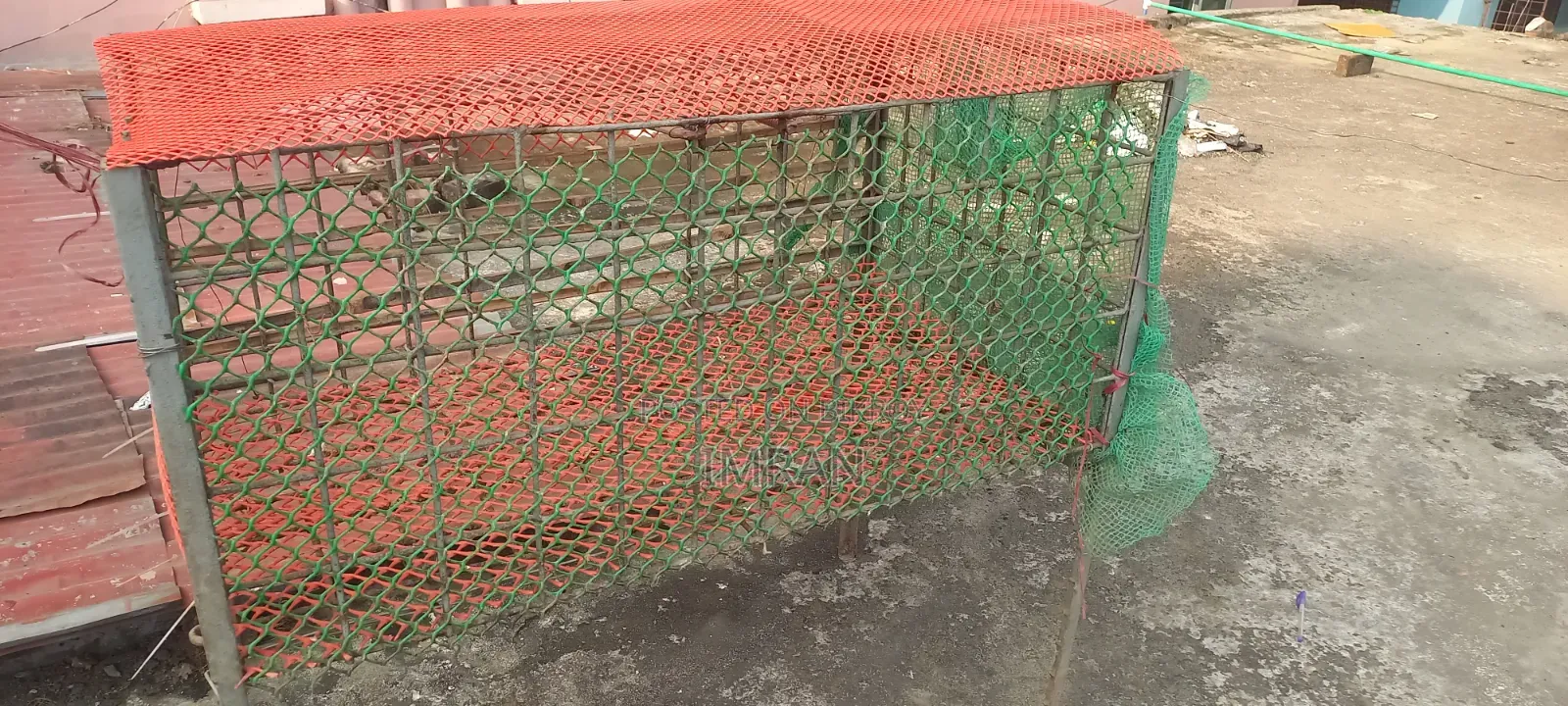 Iron Chicken Cage
