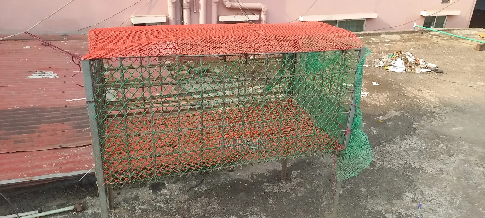 Iron Chicken Cage