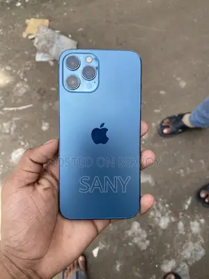 অ্যাপল আইফোন ১২ প্রো ম্যাক্স ২৫৬ জিবি নীল