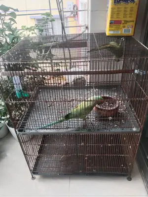 24/18 Bird Cage With Divider(bird Is Not for Sale)