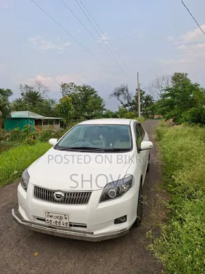 Toyota Axio 2008 White