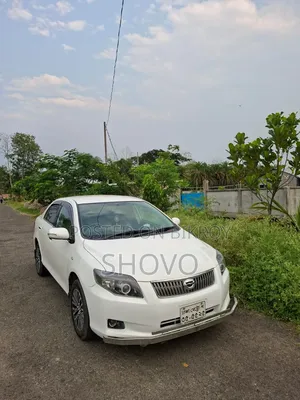 Toyota Axio 2008 White