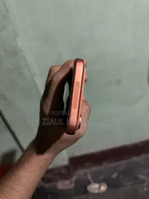 Apple iPhone 17 Pro Max ২৫৬ জিবি কমলা