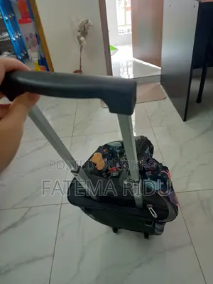 ট্রাভেল ব্যাগ