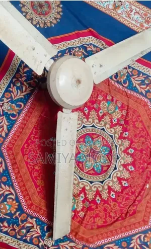 Ceiling fan has not been used for a long time
