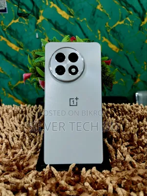 OnePlus 13R 256 GB Silver
