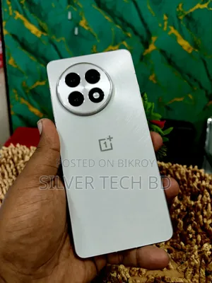 OnePlus 13R 256 GB Silver