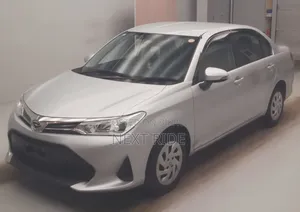 Toyota Axio 2021 Silver