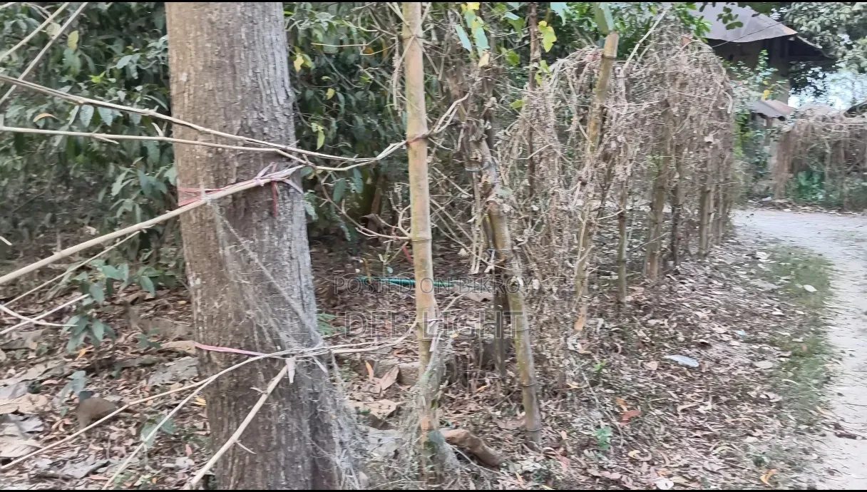 ৫ গন্ডা নিষ্কণ্টক জমি।