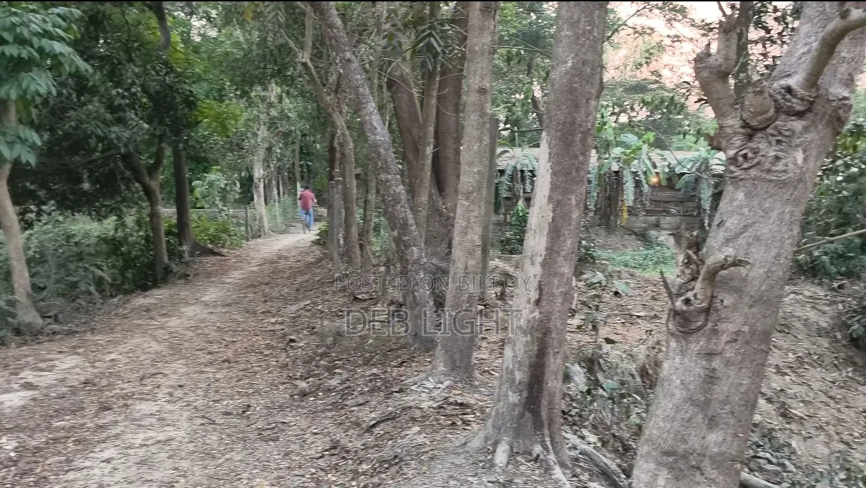 ৫ গন্ডা নিষ্কণ্টক জমি।