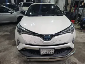 টয়োটা সি-এইচআর ২০১৯ পার্ল