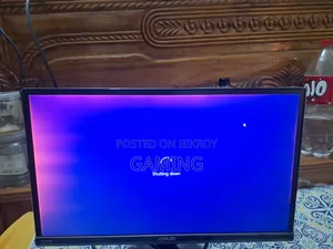 ASUS 22 Inch Monitor
